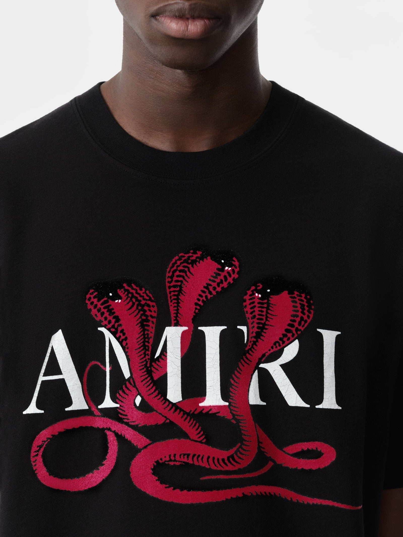 Amiri Men's Black and Red Snake T-Shirt