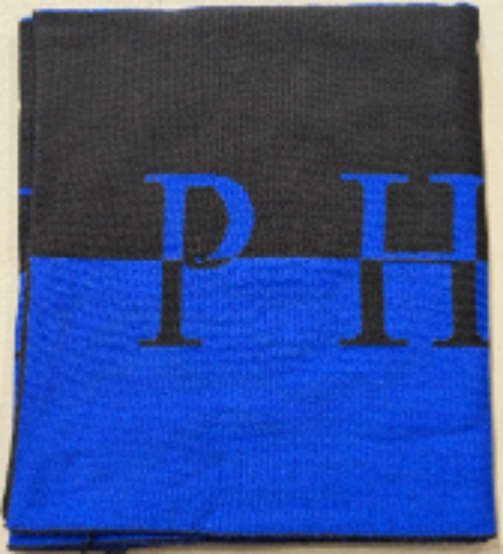 Philipp Plein Logo Scarf - Blue-Black